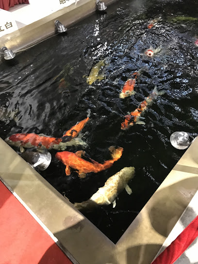 星光梅地亚酒店
