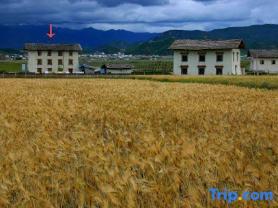 香格里拉老谢车马店国际青年旅舍