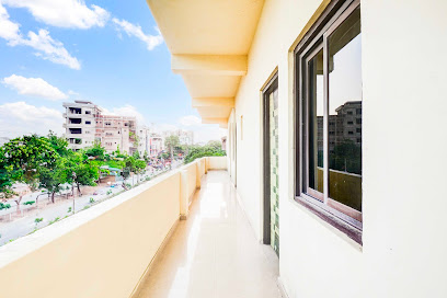 Collection O Sector 14