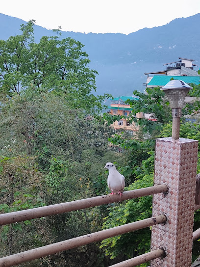 Hotel Kakuba Residency