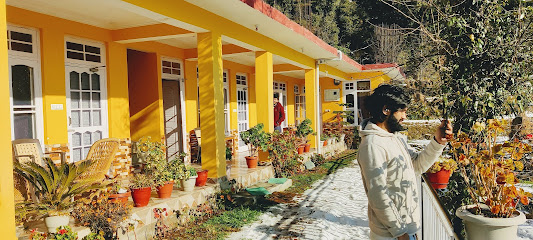 Yellow House Dharmkot