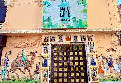 Mild Life Hostel Udaipur