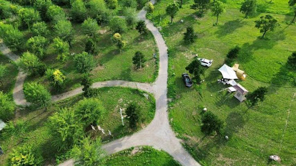 Beijing TOYE Glamping