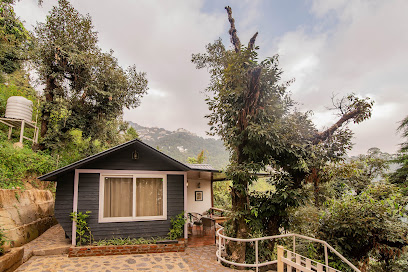 Srivasa Retreat - The splendid Forest