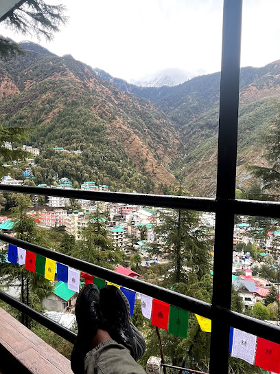 Thrillomania Hostel