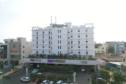 Hotel Minerva Grand Nellore #Bluefox Restaurent # ON The Rocks Bar#