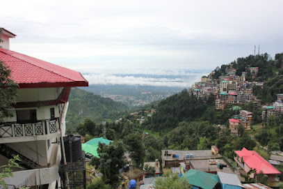 Hotel Jungle hut