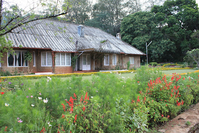 Nettikudi Bungalow