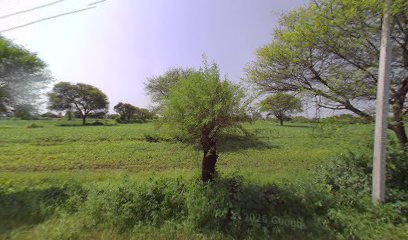 Solanki tea stall