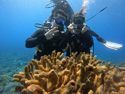 海街日記潛水旅店-Ocean Diary Dive Center