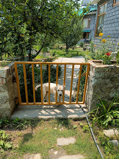 schanagzer lodge and cafe