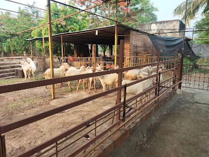 Nayyar Farm Resort