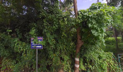 Zantye Heritage