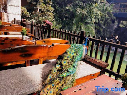 Tianci Huatang Hotel (Chongqing Bishan)