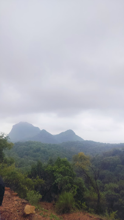 Tiwari tour and travels pipariya to pachmadi world tour and travels