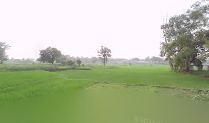 Suraj verma