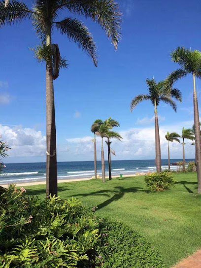 Blue Dolphin Resort Hotel