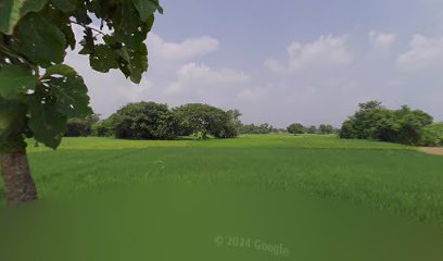 Shiv sakti sweet haise