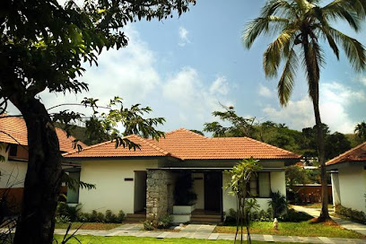 Misty Grove Resort