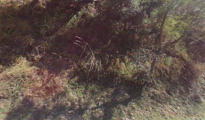 Aanchal Anand Niwas Bhowali