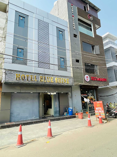 OYO Flagship Hotel Blue Shine