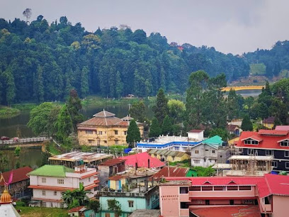 Golden Sunview Homestay Mirik (Hotel)