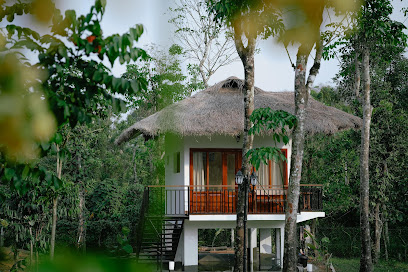 Allison the tribe resort