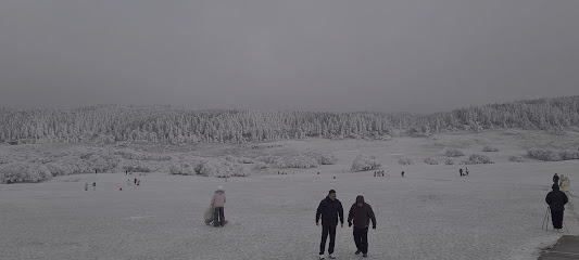 仙女山满福园.伴山雅墅
