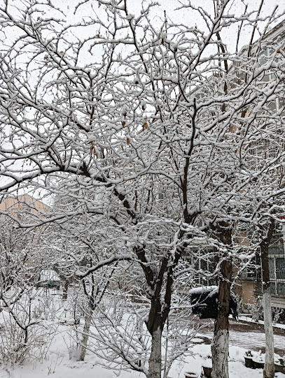 北京密云水库青山绿水农家院