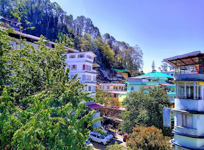 Hotel Winter Green