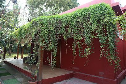Sunny Villa - Luxury at Dehradun's Doorstep - Homestay in Clement Town