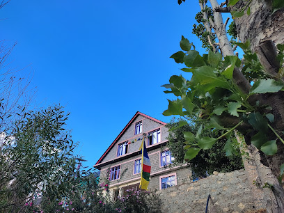 Pahadi Homestay Darcha