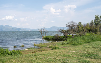 聆海／沐月·饰