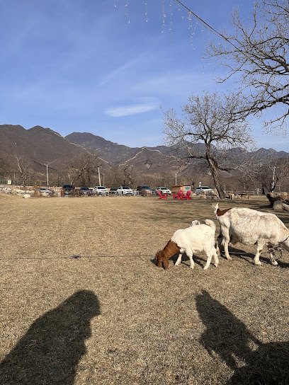 WELLBOUR HOLIDAY RESORT