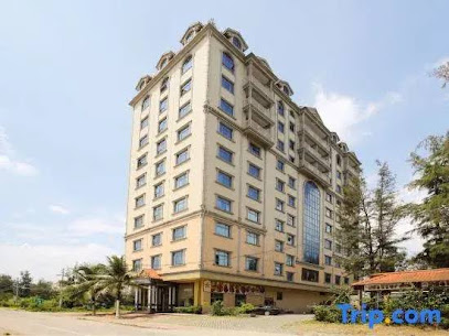 Dongxing Zijin Hotel