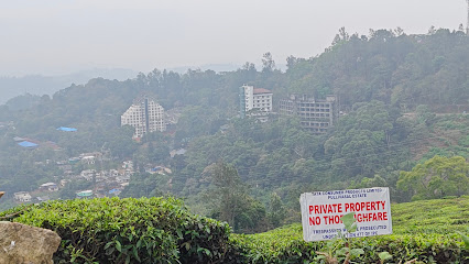 Pool Resorts Munnar