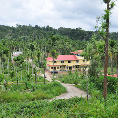 Palm Resort