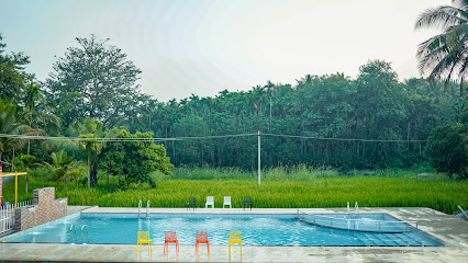 Eco Green Dandeli