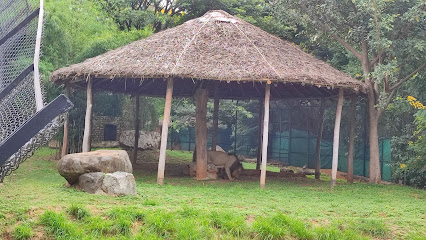 Hotel Dasharath Delux Lodge