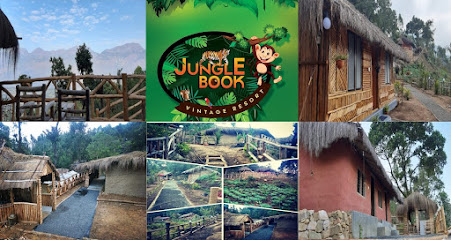 Jungle book vintege resort