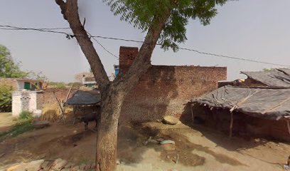 Braula (vijayraj)