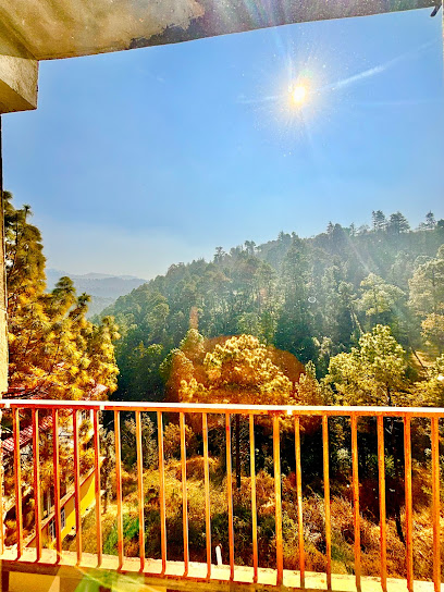 Kudrat homestay shimla