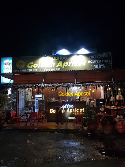 Golden Apricot Hotel