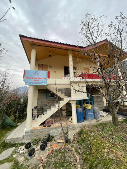 Hippie Gotra - Manali