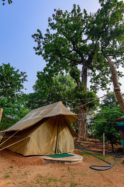 Deep Forest FarmStay