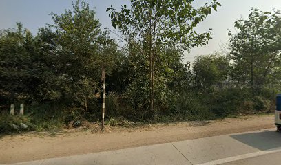 Desired Red Coral Resort