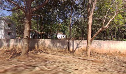 Forest guest house