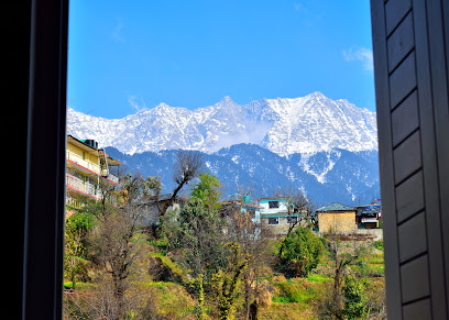 The Grey Dharamshala