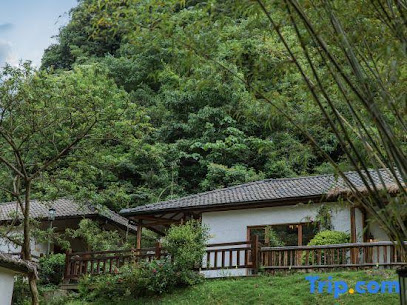 Anji dust-free night