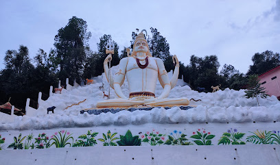 Snow View Luxury Homes